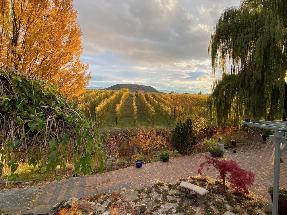 Blackbird Glen Bed and Breakfast