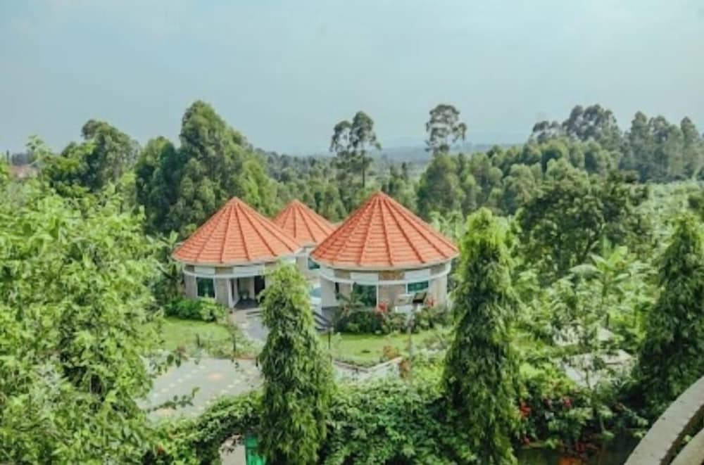 Ahaka cottages