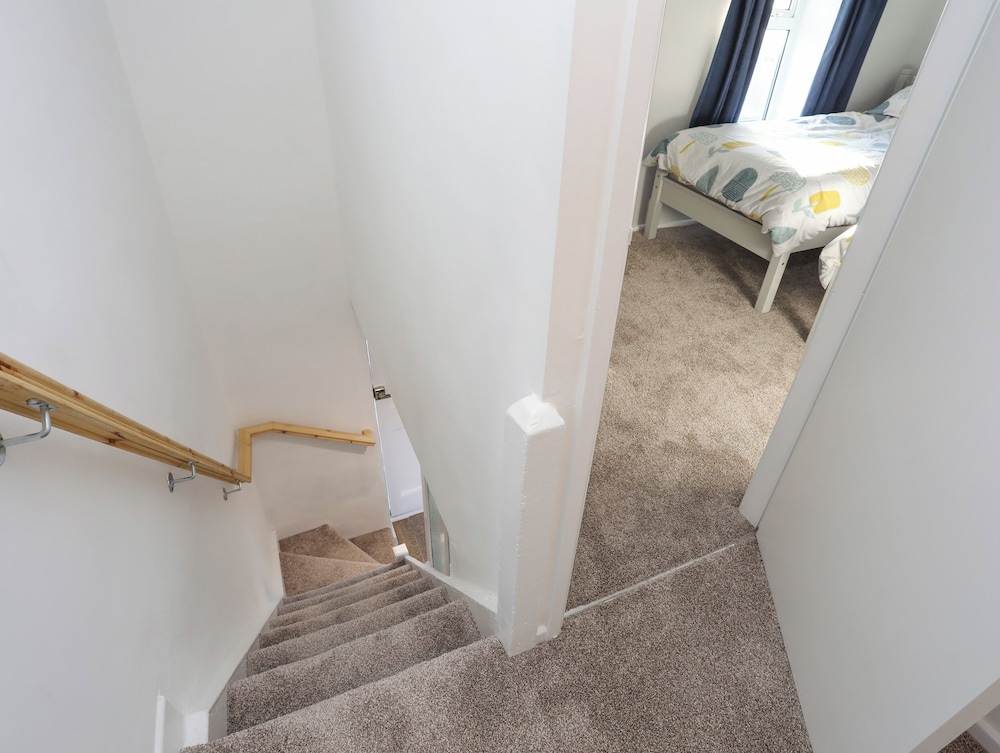 Oscar's Pad