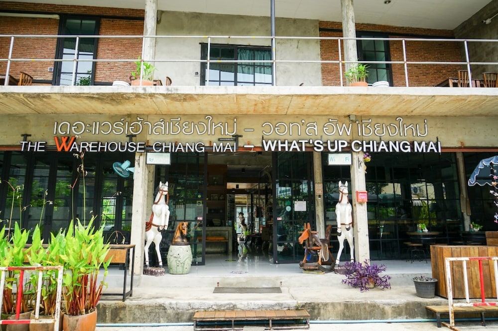 What's Up Chiang Mai - Hostel