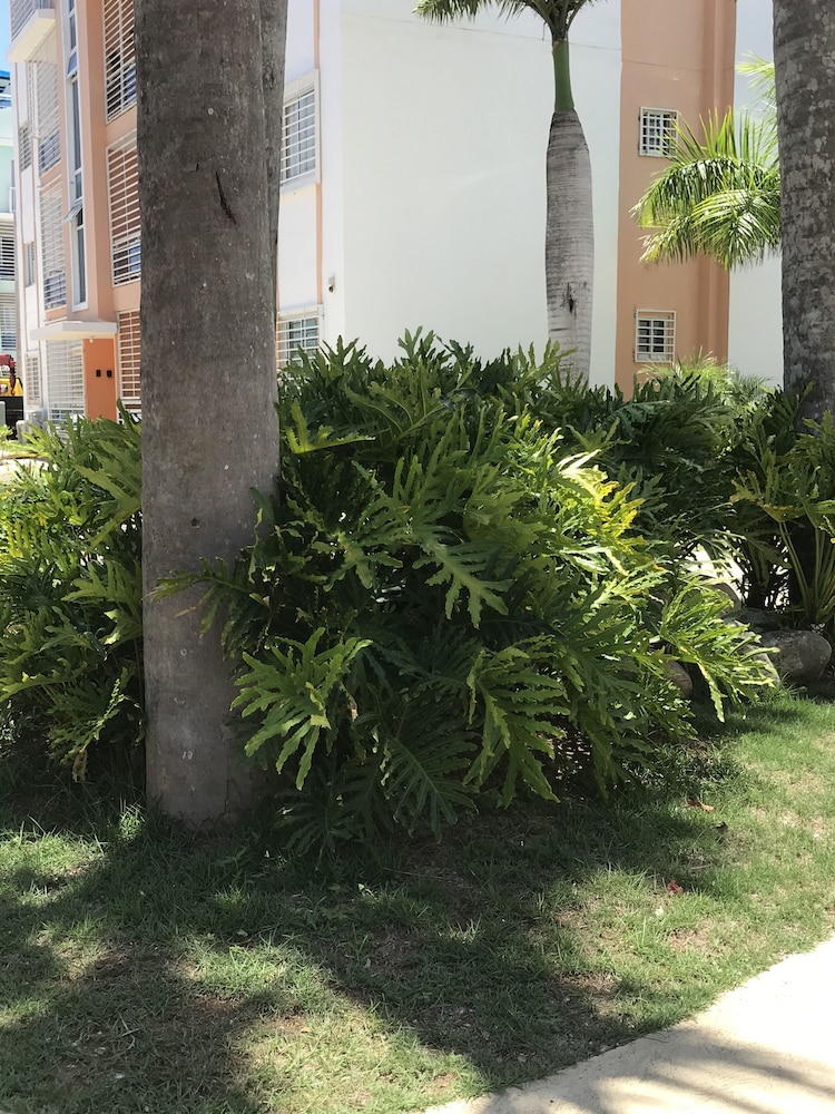 Photo 47