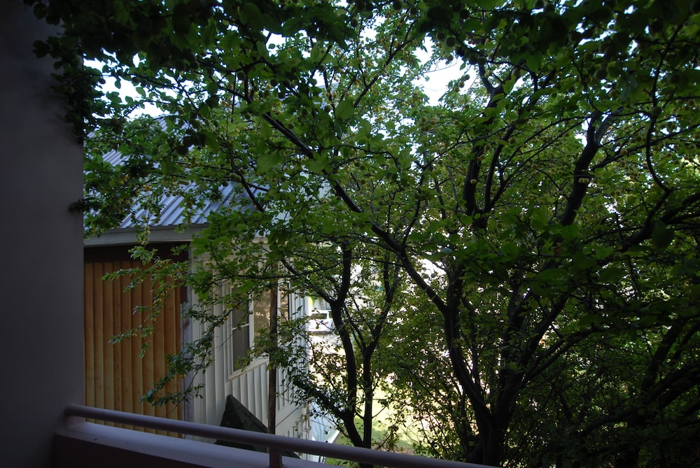 Alles Guesthouse