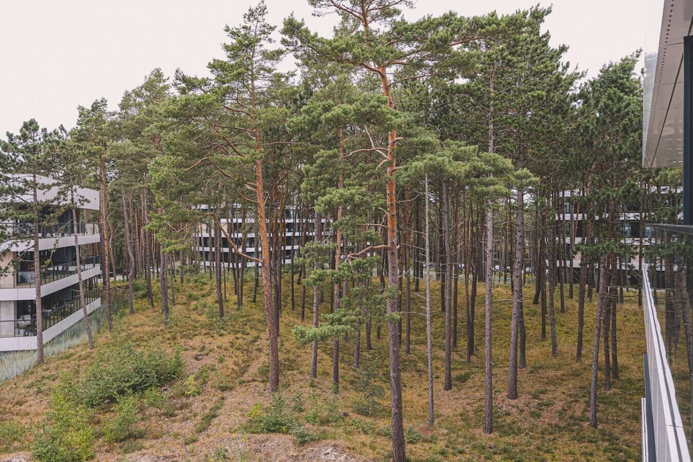 Puro - Modern Apartment by the Dunes