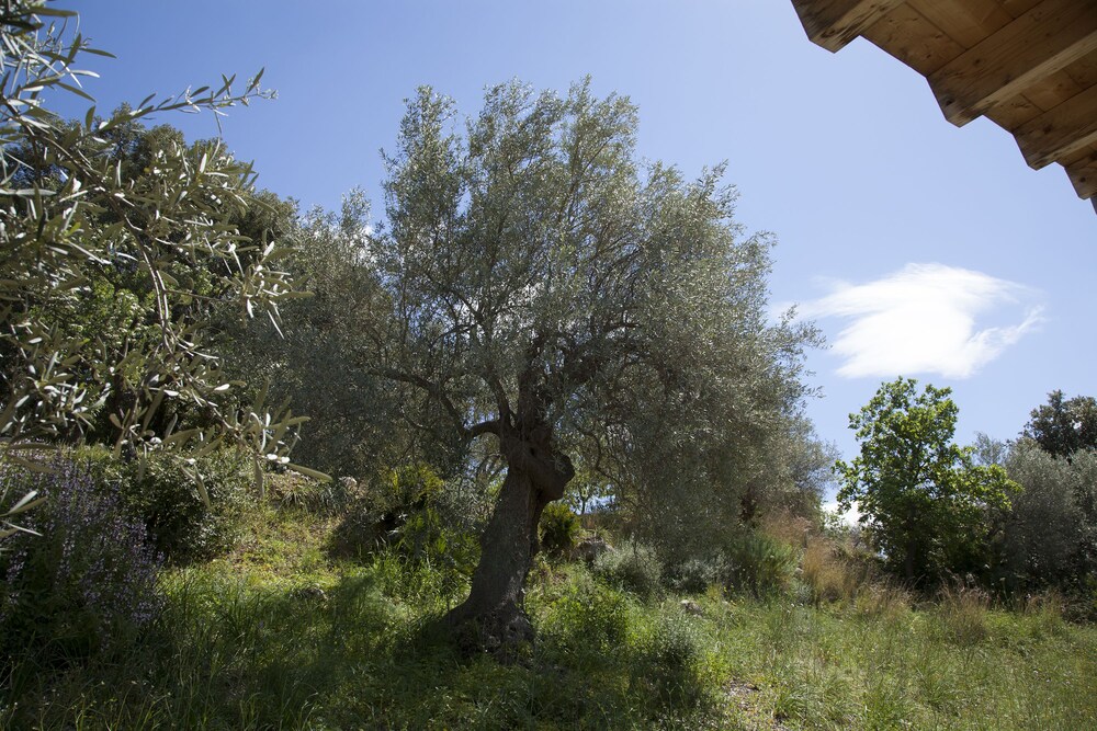 Camping Fiori di Noto