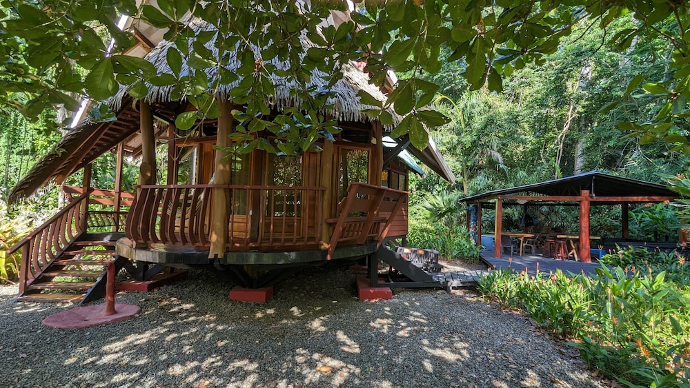 Tree House Beachfront Lodge