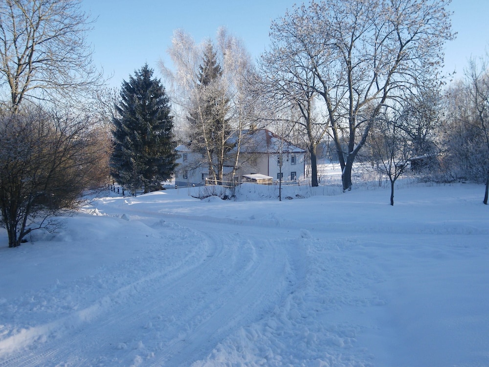 Photo 11