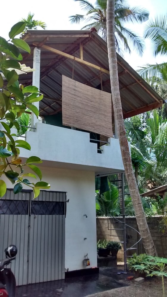 Jungleside House