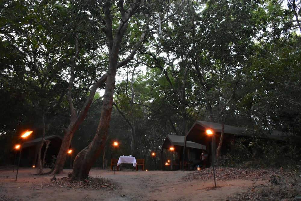 Explorer by Eco Team - Kumana National Park