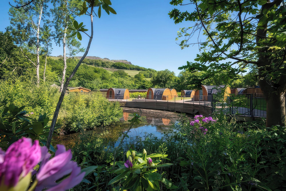 Lakeside Pods - pet Free
