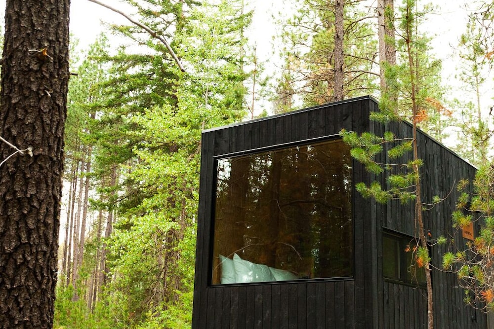 Postcard Cabins Dale Hollow, Outdoor Collection by Marriott Bonvoy
