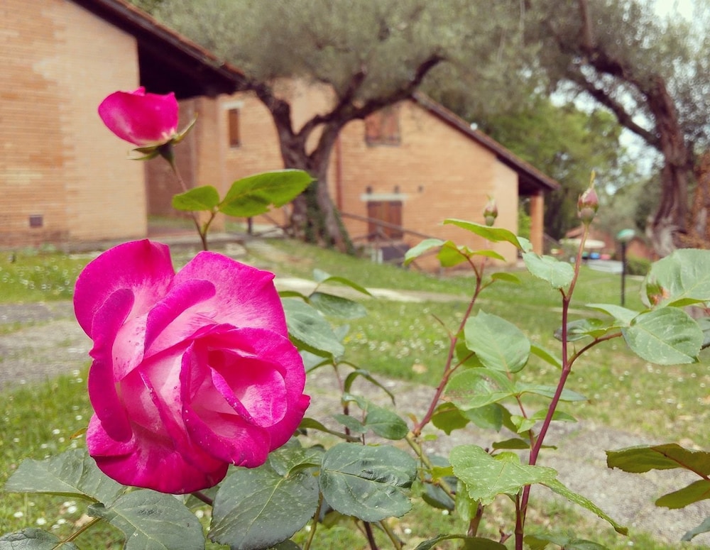 Camping Villaggio Cerquestra