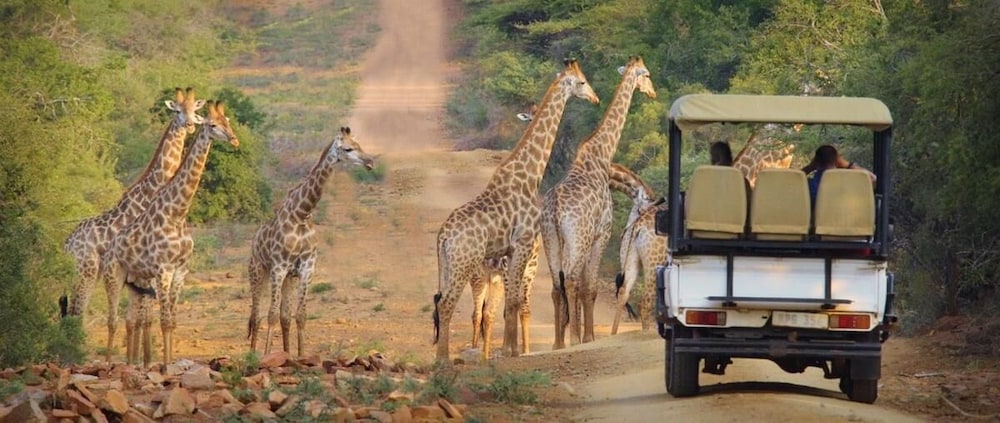 Pakamisa Private Game Reserve