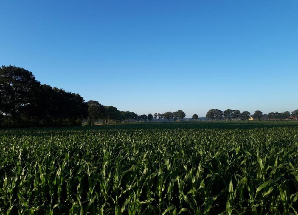 Cozy Holiday Home with Dishwasher near Zwolle
