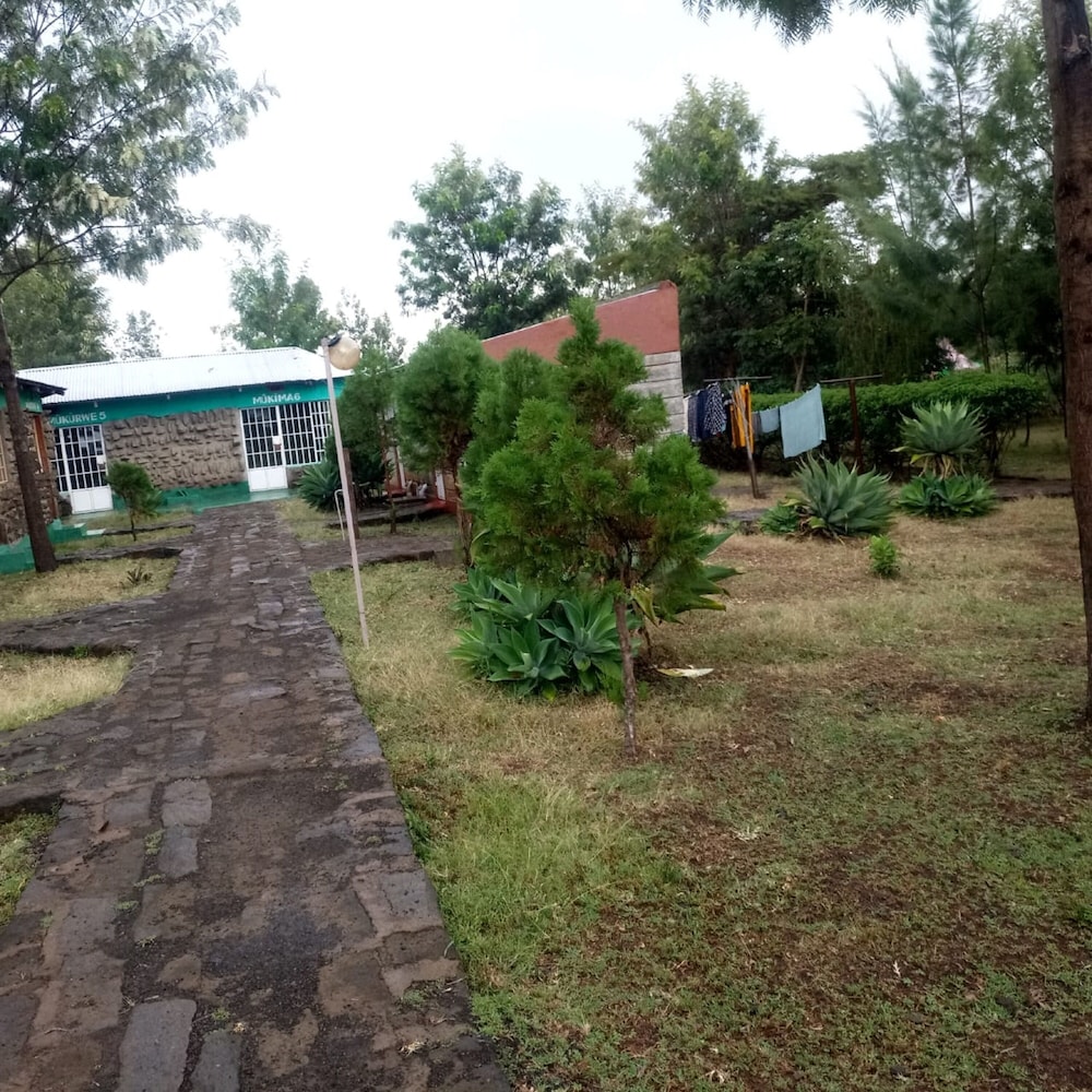 Photo 19