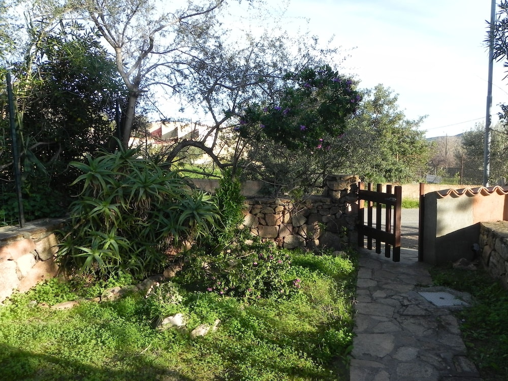 Photo 52