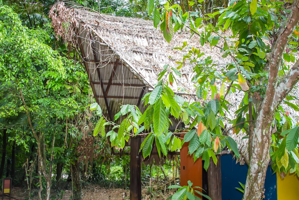 Parque Dos Igarapés