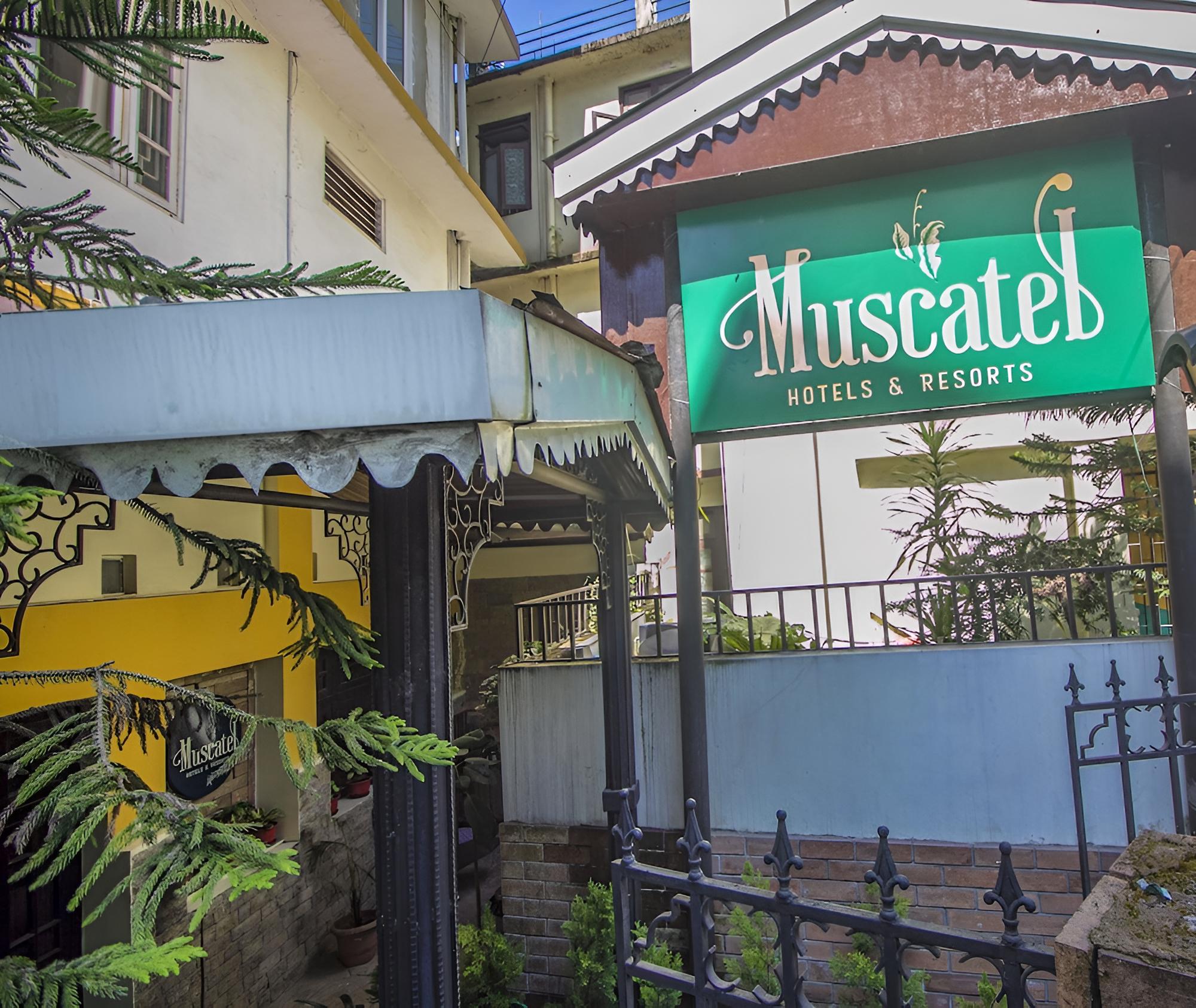 Muscatel Delamere Central