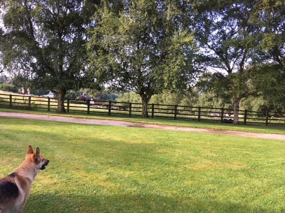 Grange Farm Bed & Breakfast
