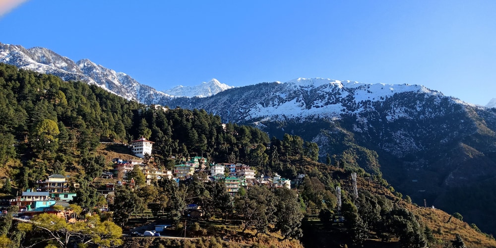 Hotel Pine Spring