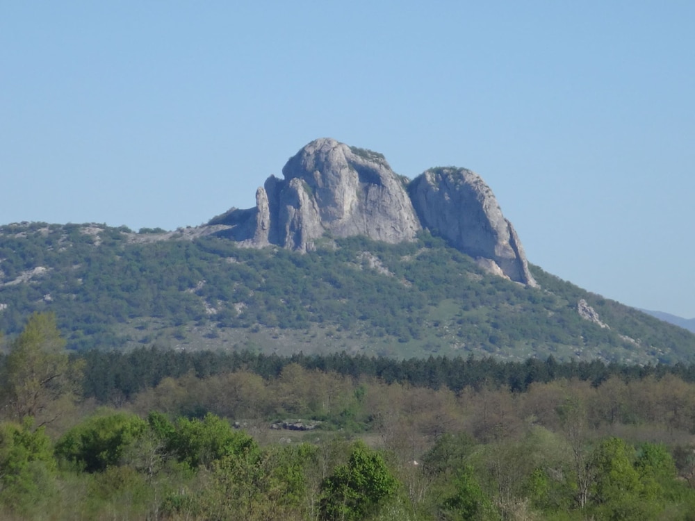 Photo 9