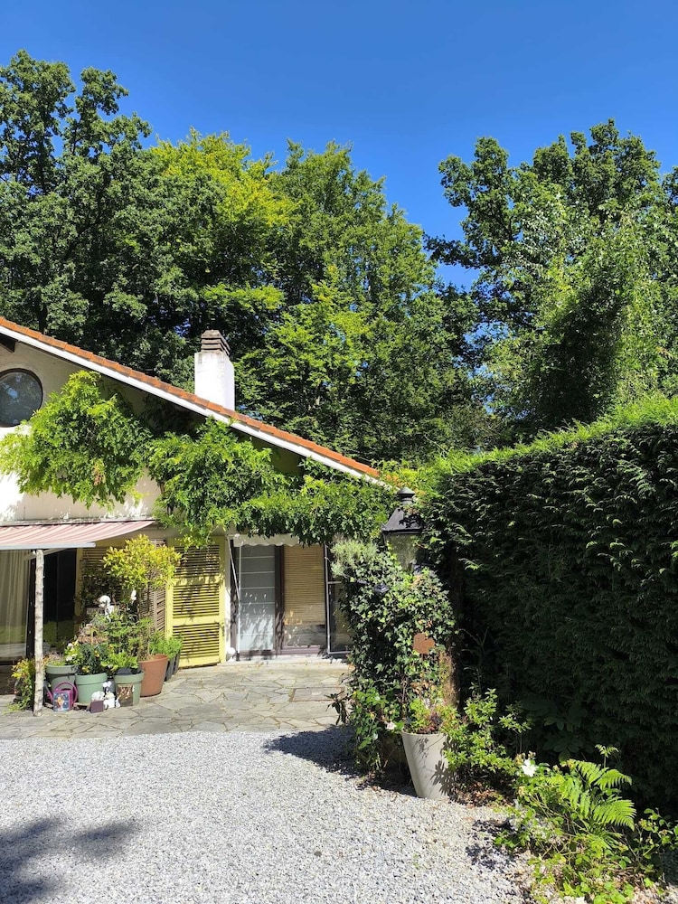 Charming Studio the Heart of the Forest