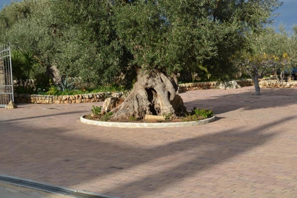 Photo 37