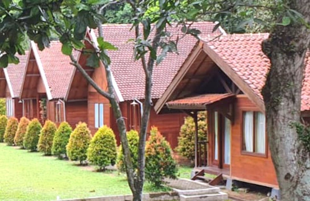 PAVO RESORT