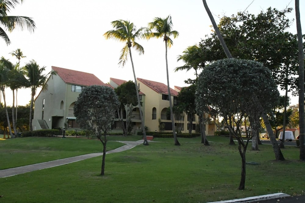 Photo 31