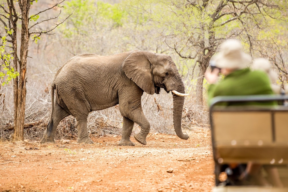 Phuti Safari Lodge view 4