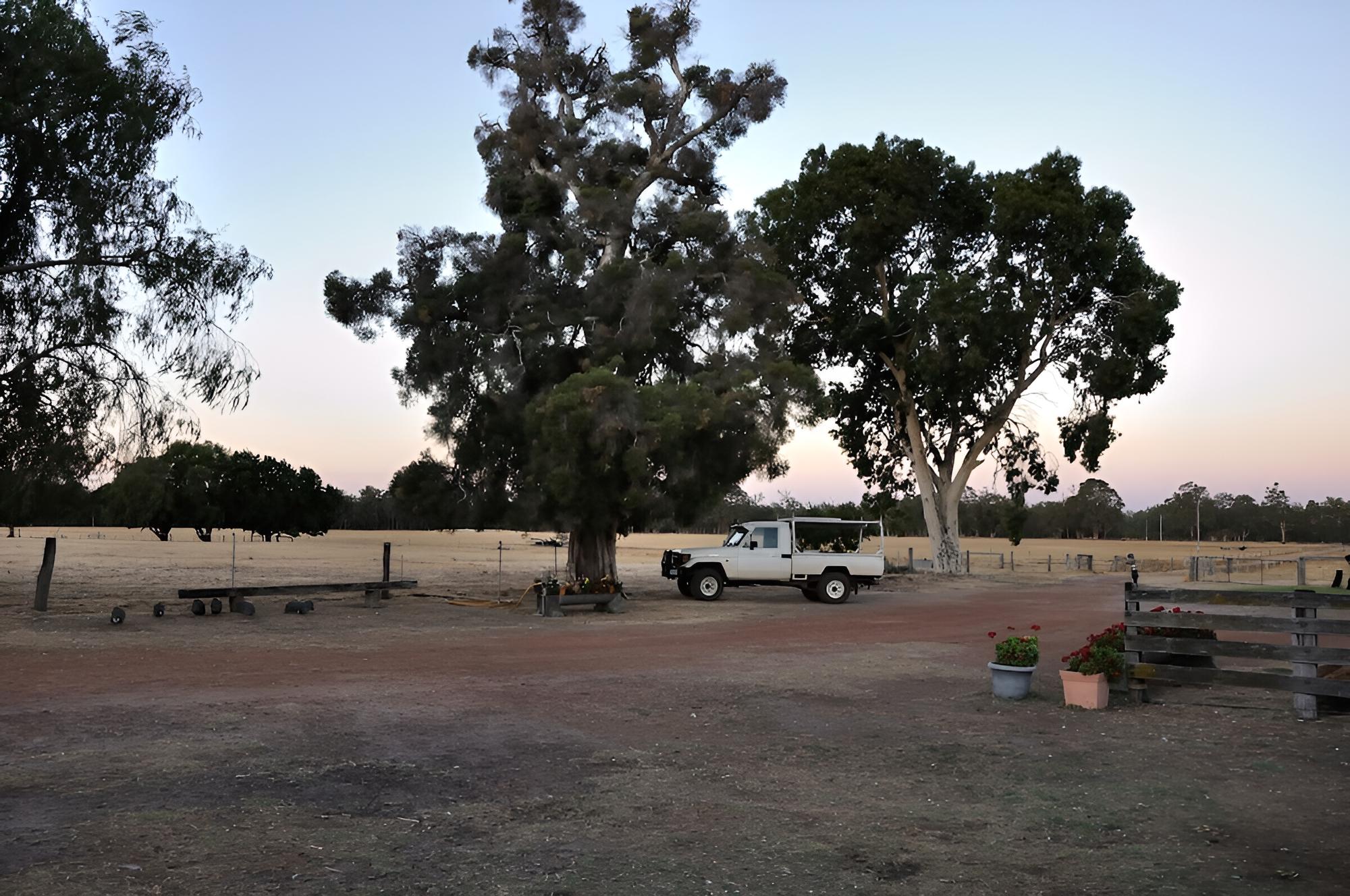 Wilga Farm Stay