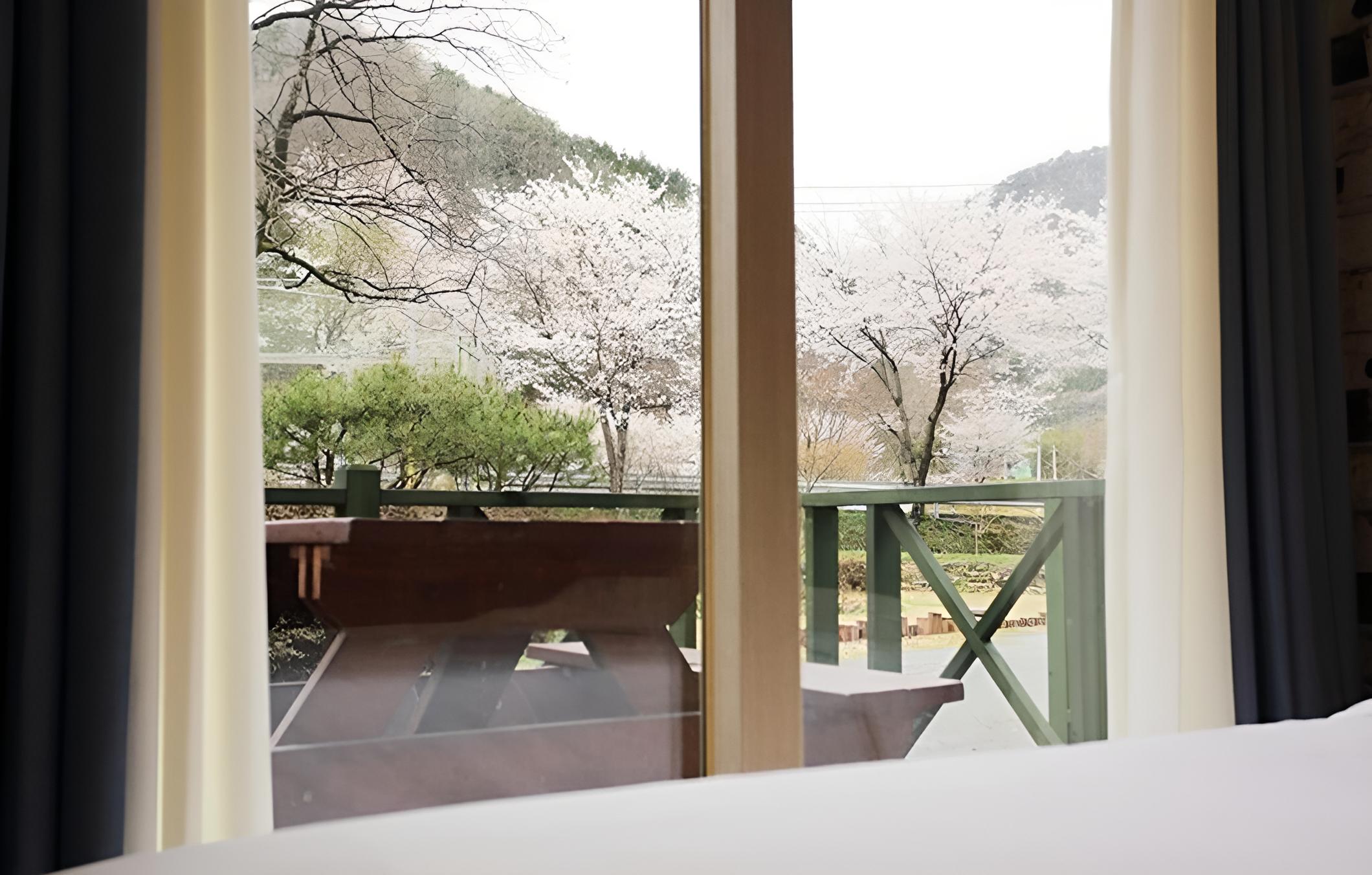 Damyang Maple Pension view 4