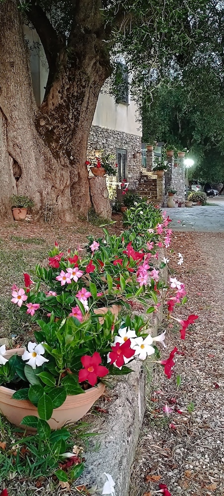 AGRITURISMO  LA FOCAZZA