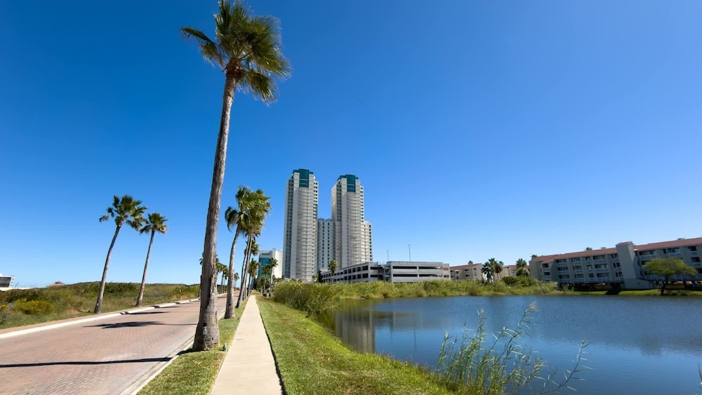 Penthouse Jr Unrivaled Luxury Insane Views 3 Bedroom Apts