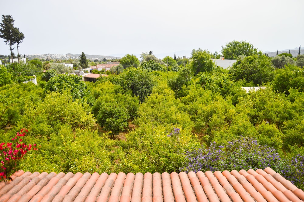 Photo 44