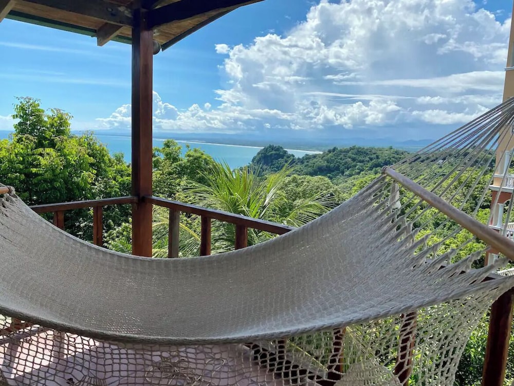 Mi Zaru Sea View Animal Paradise