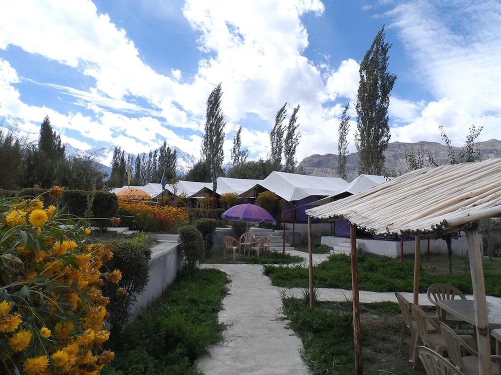 Tiger Camp