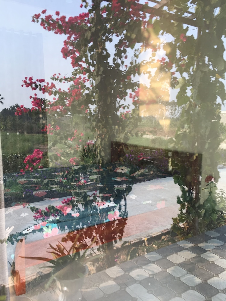 Lotus House