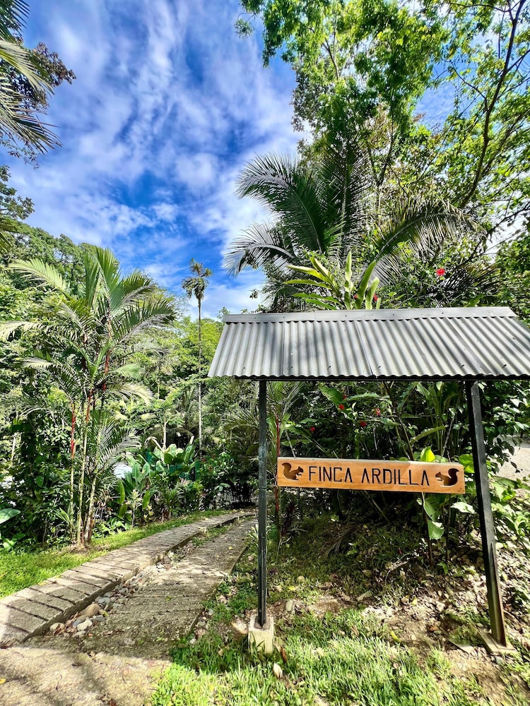 FINCA ARDILLA