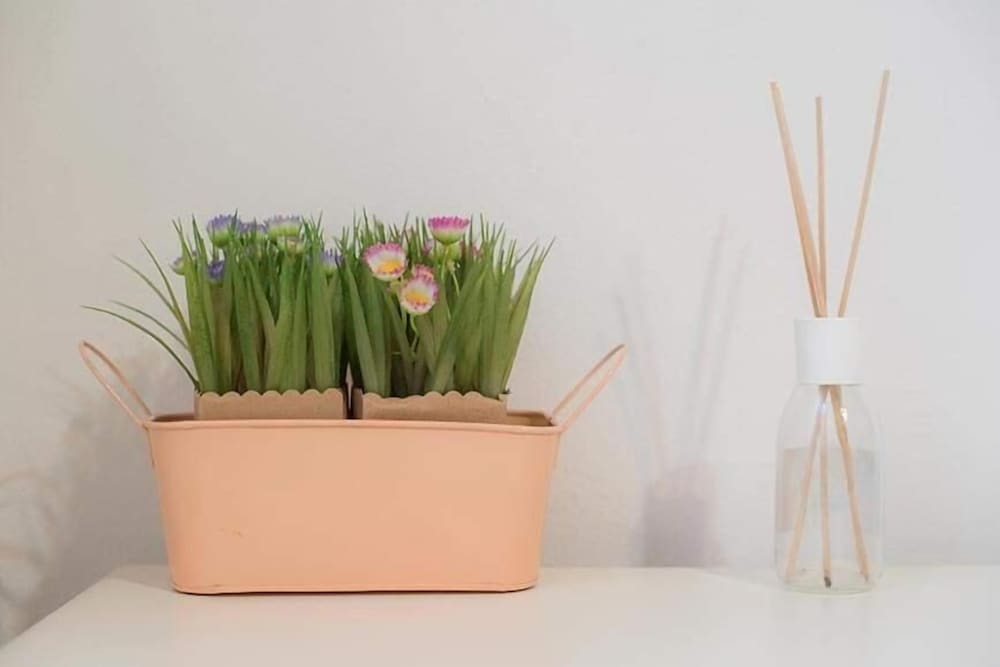 Camere Nicolina 3 photo 5