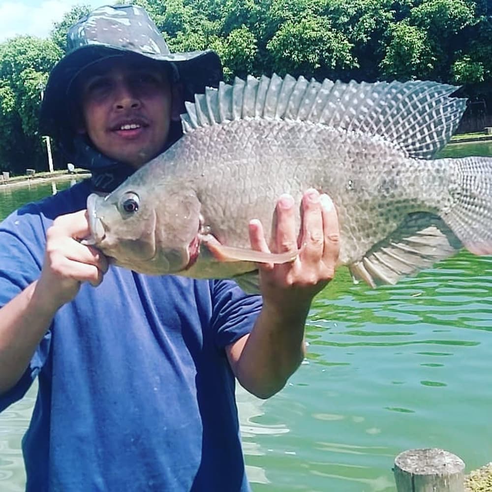 Pousada e Pesca Esportiva Fazolin