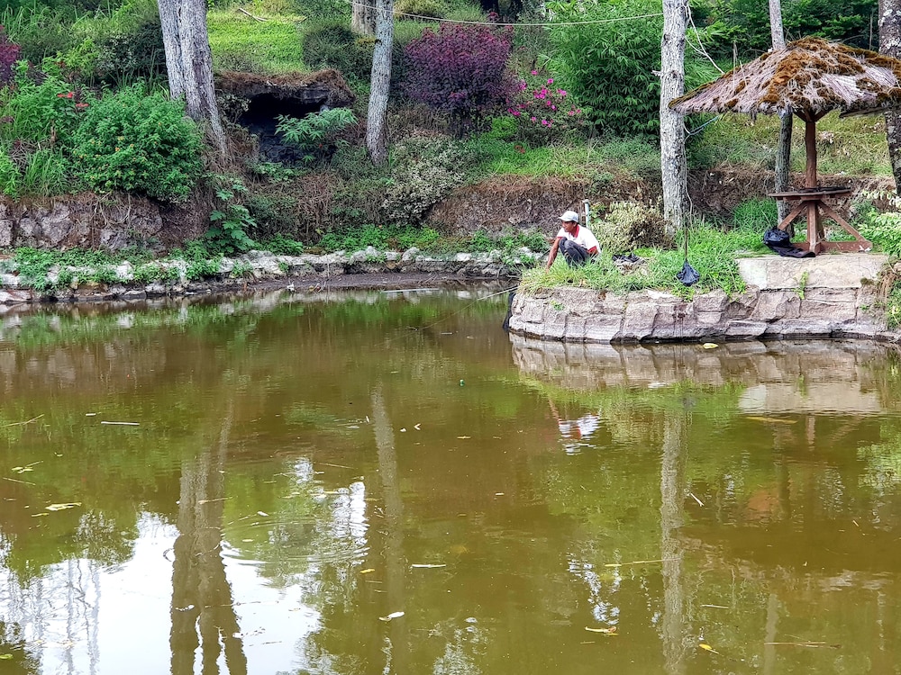 Argapuri Jungle Resort