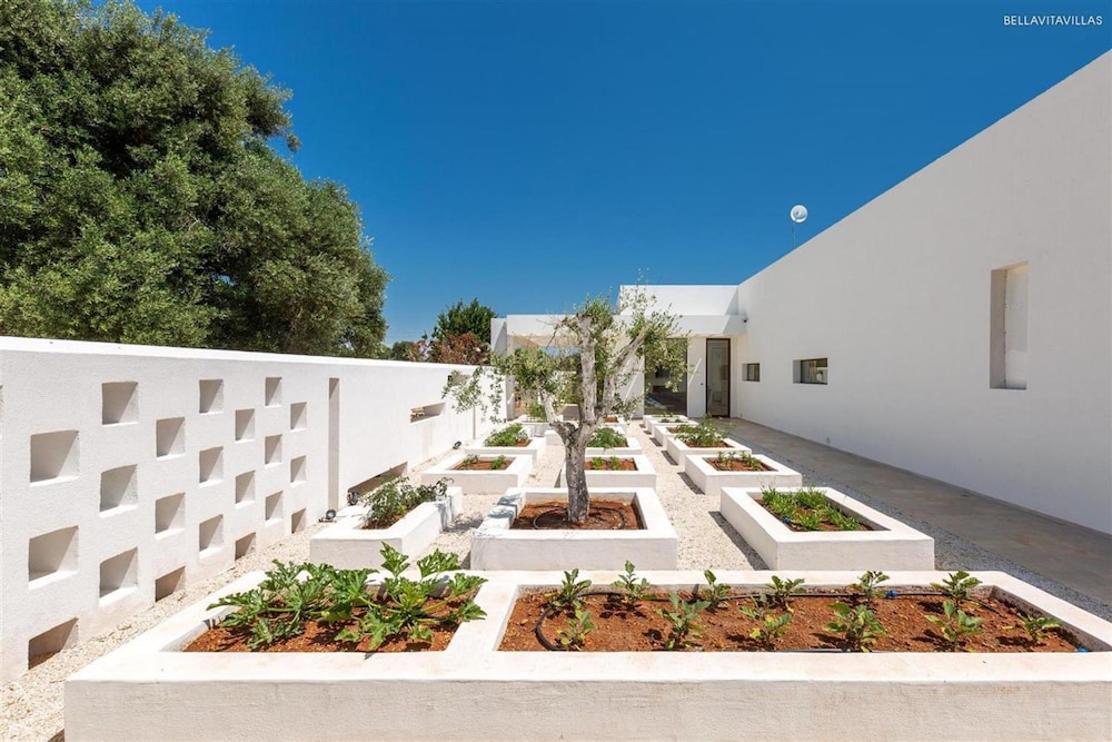 1978 Borgo Maresca by Perle di Puglia photo 4