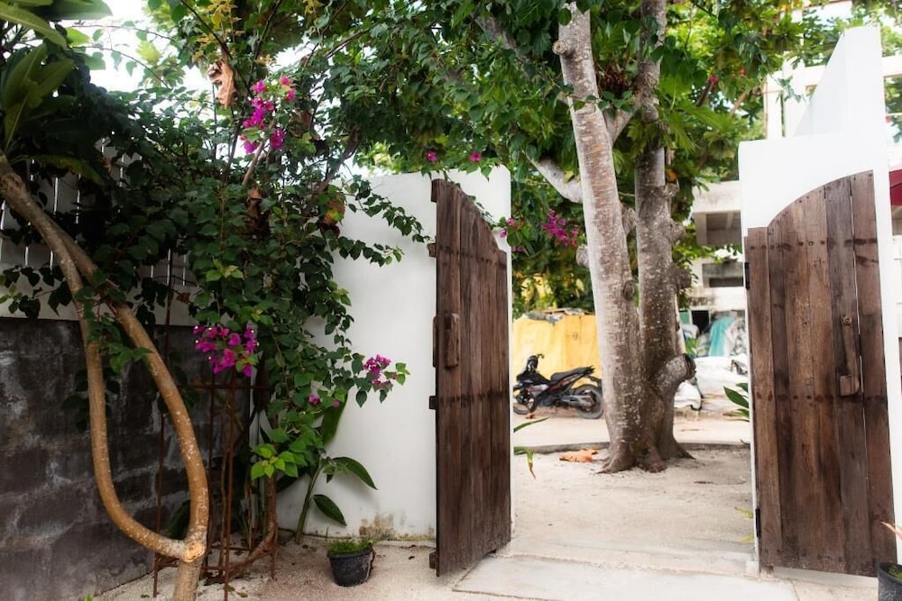 Moro Kihaadhoo