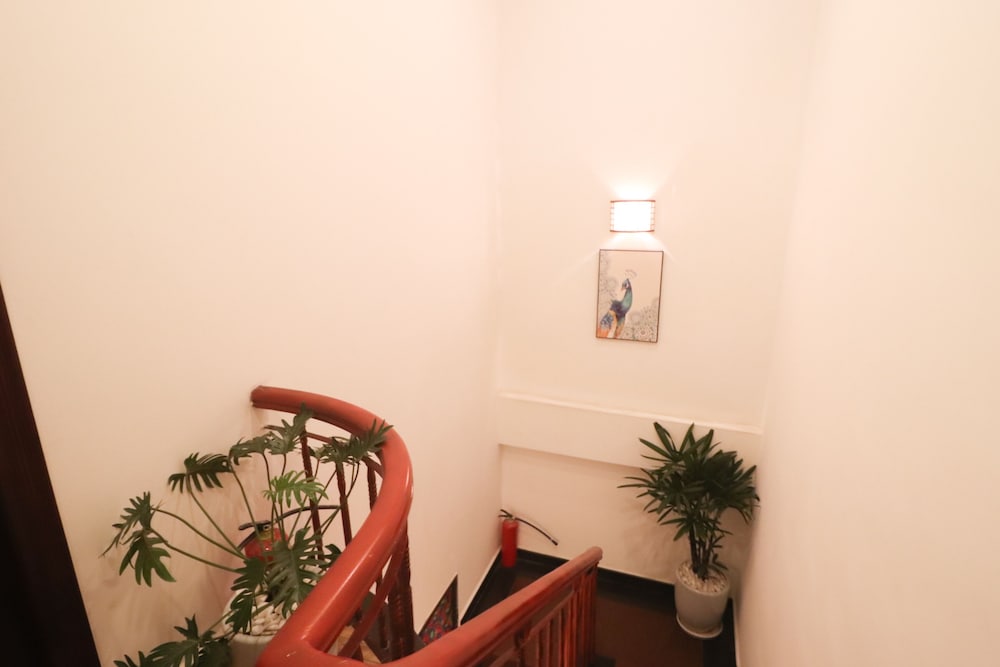 Photo 49