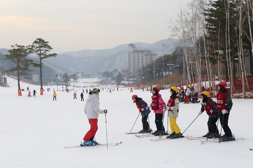 Oak Valley Resort Valley Village 94