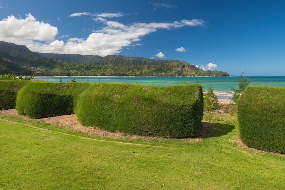 Hanalei Nalu in Hanalei