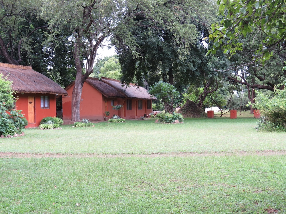 Croc Valley Camp
