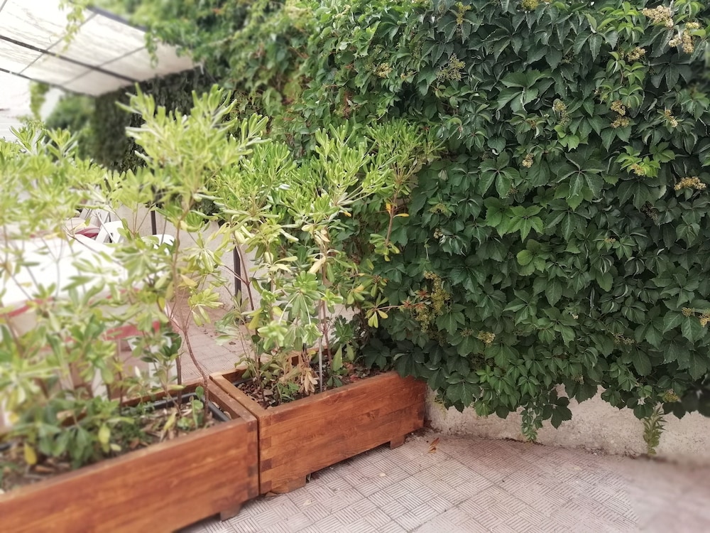 Stella Marina Albergo Diffuso B&B