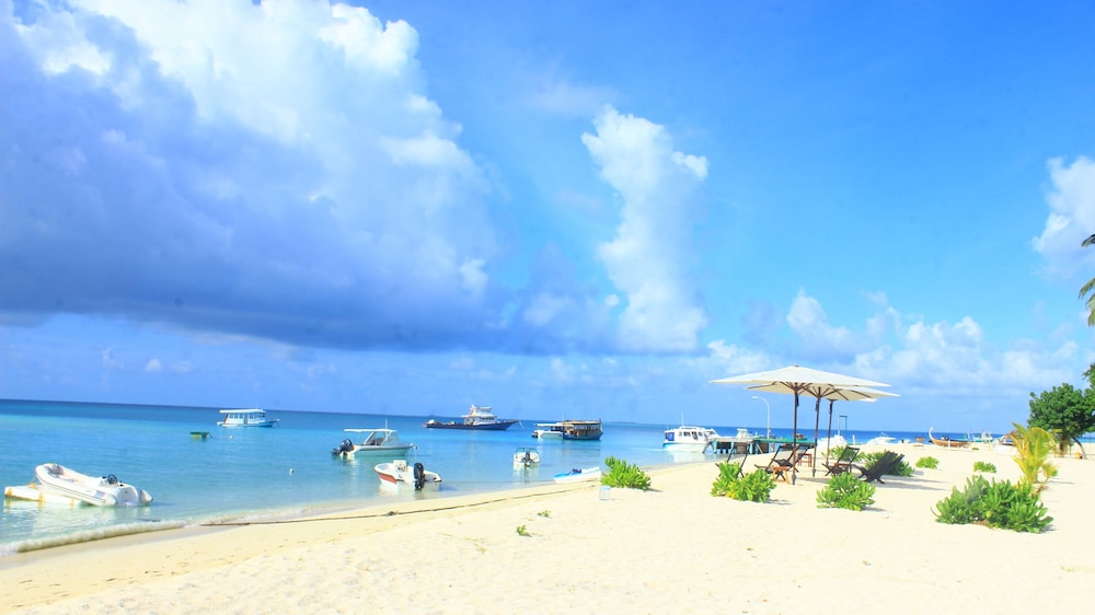 Islandbreak