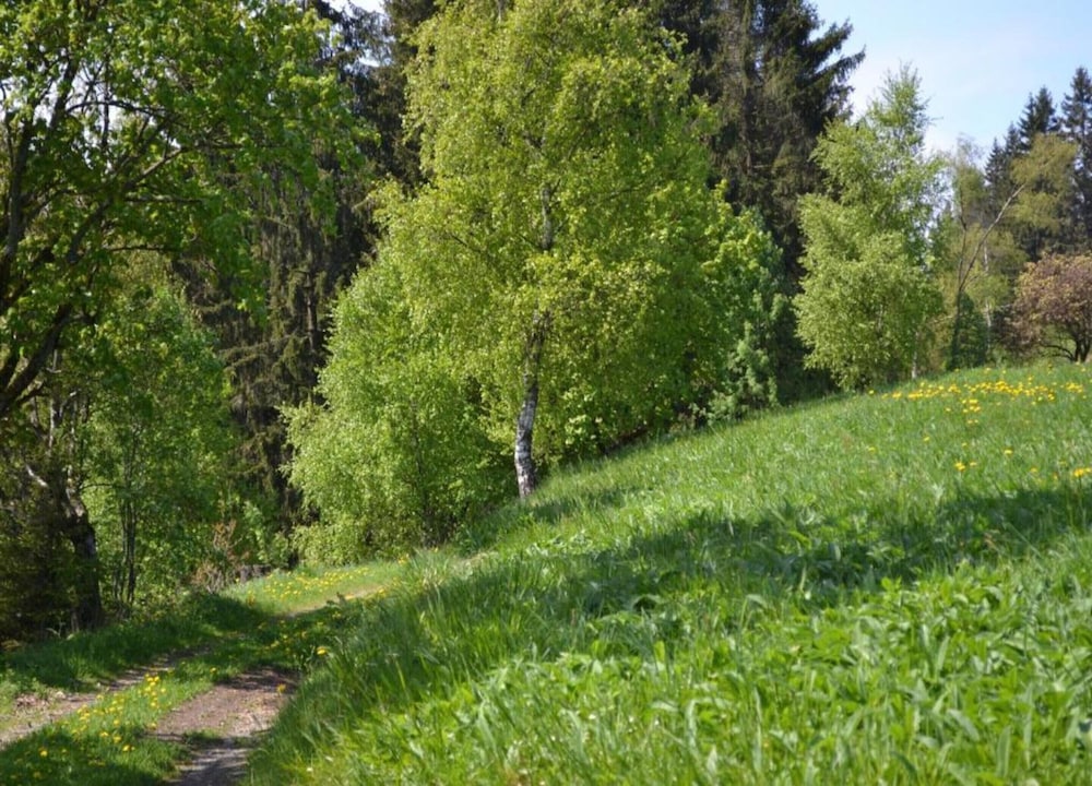 Charmantes Refugium, Harz